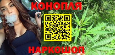 стаф Тула