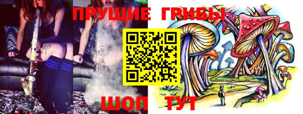 Псилоцибиновые грибы MAGIC MUSHROOMS Павлово