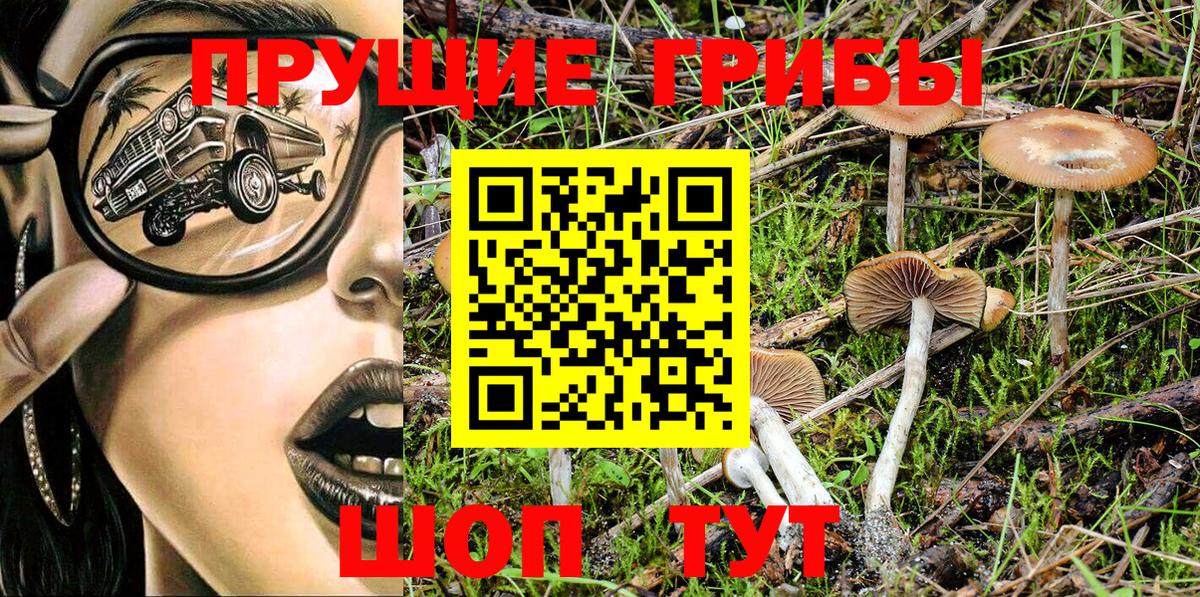 Павлово  Псилоцибиновые грибы MAGIC MUSHROOMS  Вход с VPN 